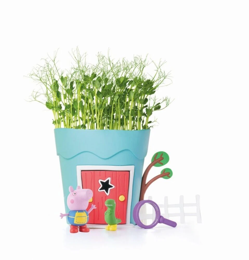 Peppa Pig Grow & Play George Pots Pea Seeds 2 Peppa Pig Grow & Play George Pots Pea Seeds - Image 2