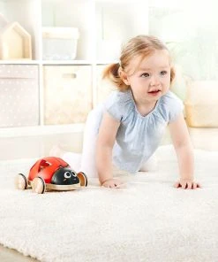 Shape-Sorter Ladybug 17 Shape-Sorter Ladybug -Discoveroo Sales Store UG HE0364 7