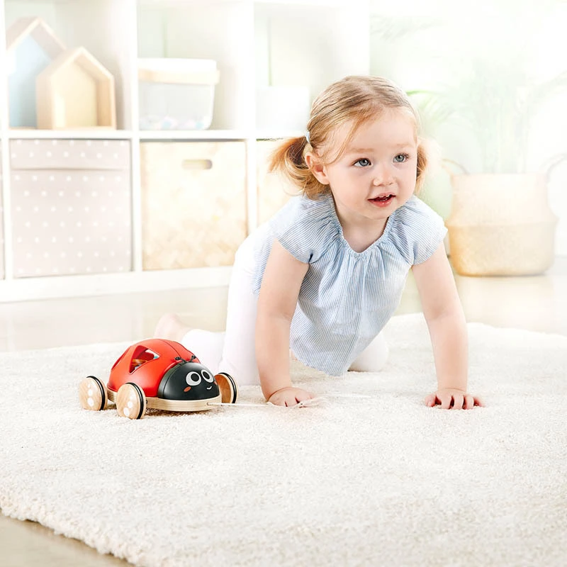 Shape-Sorter Ladybug 8 Shape-Sorter Ladybug - Image 8